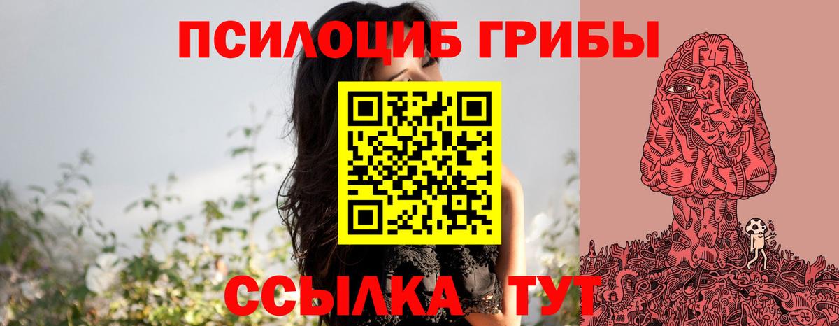 Новосибирск  Галлюциногенные грибы Psilocybine cubensis  Вход с VPN 