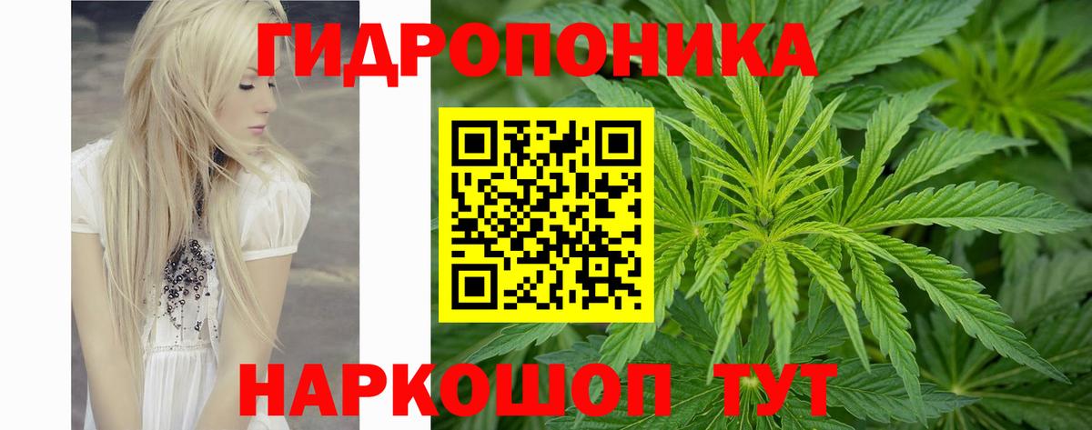 Бошки Шишки марихуана  Вход с VPN  Канабис ГИДРОПОН  Новосибирск  Конопля Bruce Banner 